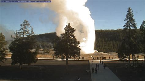 yellowstone entrance webcams live streaming